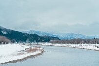 雪山で光を浴びる「選ばれし犬」のような姿　凛々しい表情に「天から啓示が」「フォース使う？」