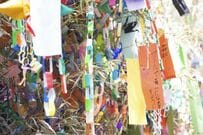 88歳曾祖母と8歳ひ孫が書いた「七夕の願い」　相思相愛ぶりが伝わる短冊に「だめだ泣いちゃう」