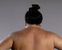 【視聴率20％超】大相撲初場所の千秋楽、安青錦関の優勝で世帯視聴率は20%の大台を突破！瞬間最高視聴率は？