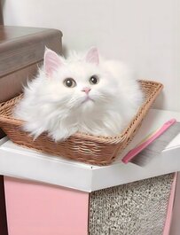 「ブラッシング屋さんまだかニャ？」カゴの中で待機する白猫さまの姿が可愛すぎる