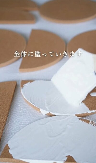 変身途中のダイソーアイテム