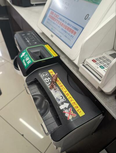 コンビニで出会ったイカした生き物