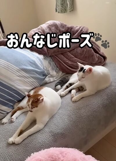 投稿の画像