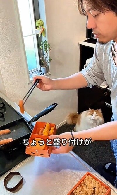 投稿動画のワンシーン