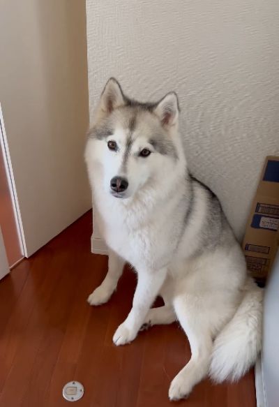 投稿動画のワンシーン