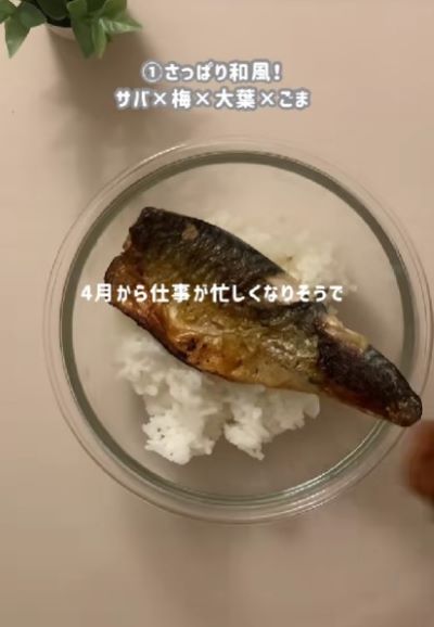 投稿動画のワンシーン