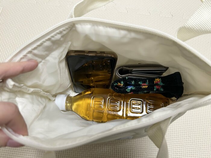 ペットボトル、財布、スマホ、ハンカチは余裕で入りました