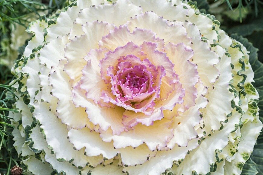 ULADZIMIR ZGURSKI/istockphoto.com