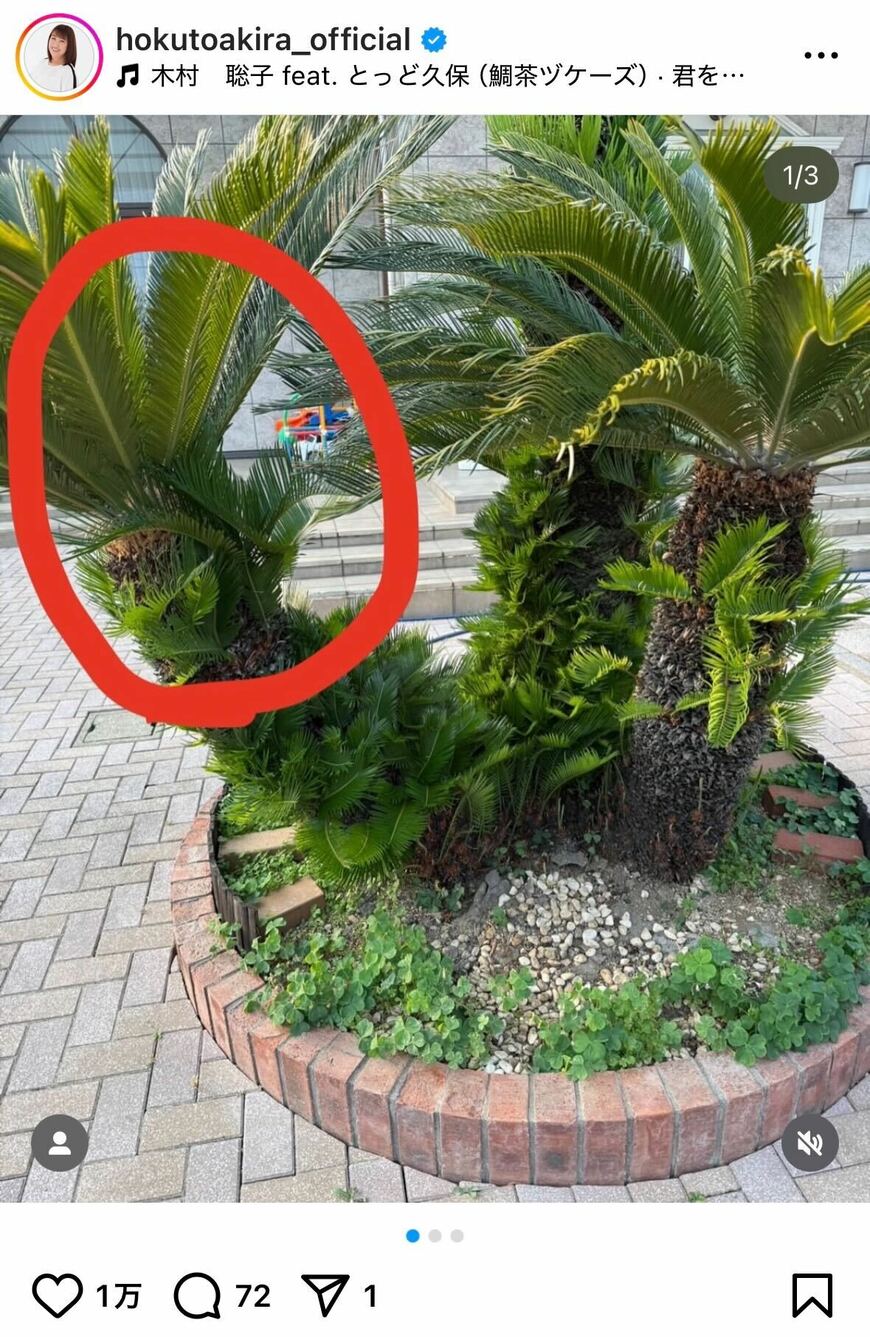 出所：北斗晶のInstagram（＠hokutoakira_official）参照日：2025年7月7日