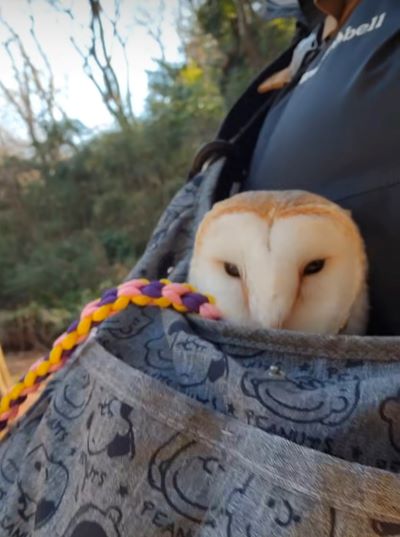 出所：@miki4wan108