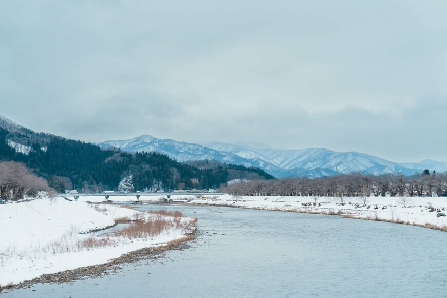 雪山で光を浴びる「選ばれし犬」のような姿　凛々しい表情に「天から啓示が」「フォース使う？」