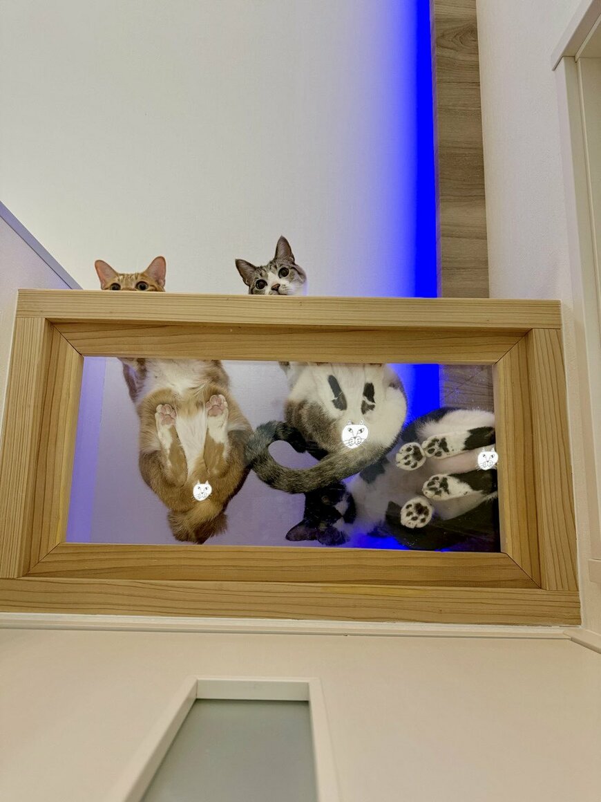 出所：@omochi_nam01