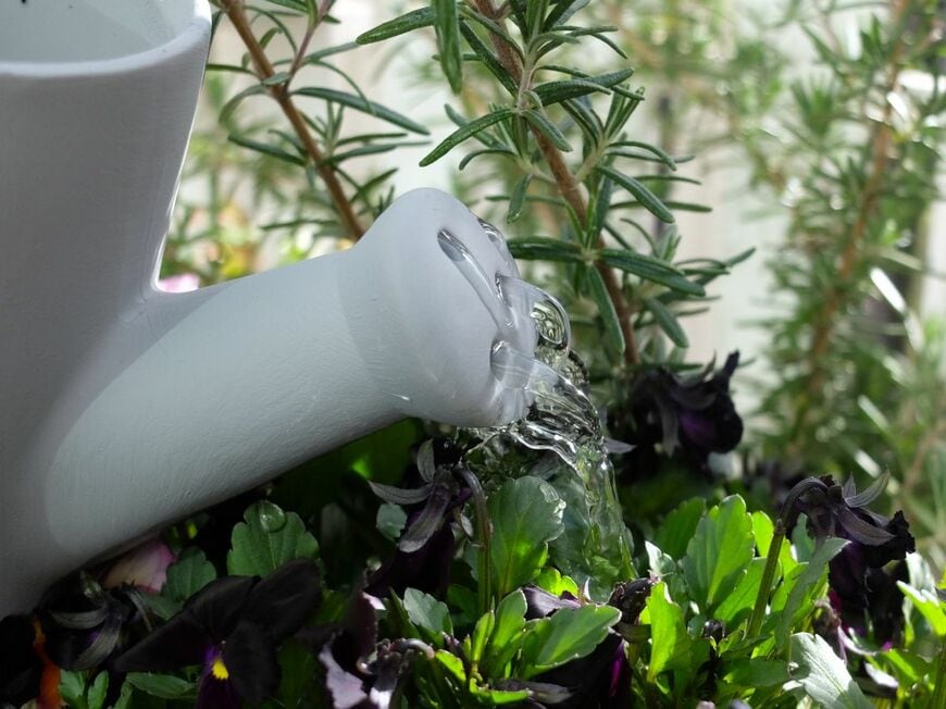 筆者撮影（スタンダードプロダクツ、ジョウロにもできる植木鉢（10cm））