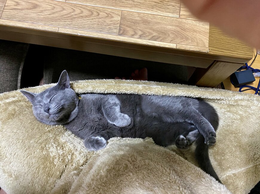 出所：@luna7taka9