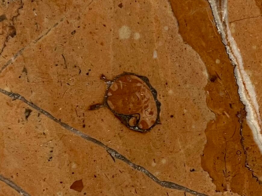 出所：@ammo_ammo_ammo