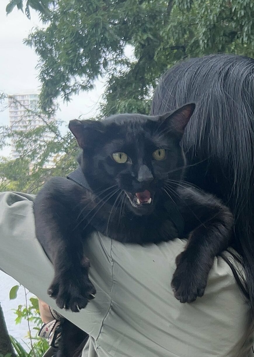 出所：@Kuroneko_Levi13