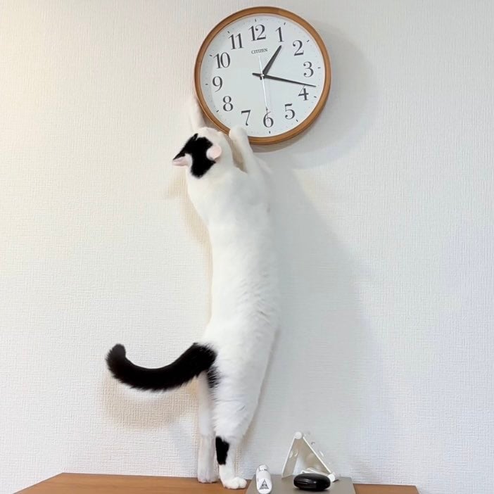 出所：@takeru0321neko