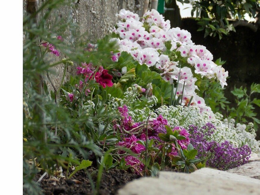 Nikola Franicevic/istockphoto.com