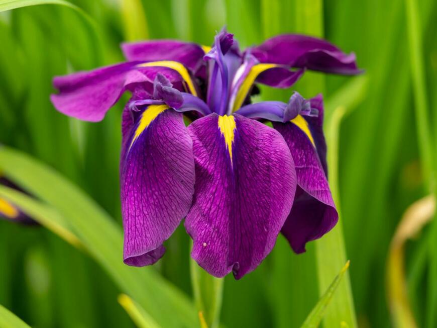 AngieC333/shutterstock.com