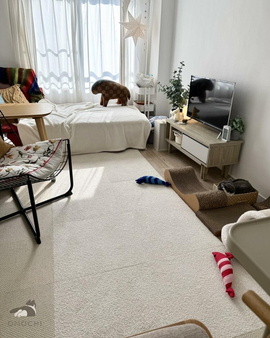 Xに投稿されたリビングの写真　実は居る猫の姿にホッコリ