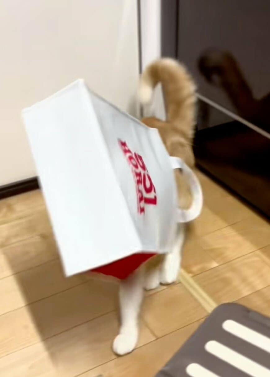 出所：@sorakai0905