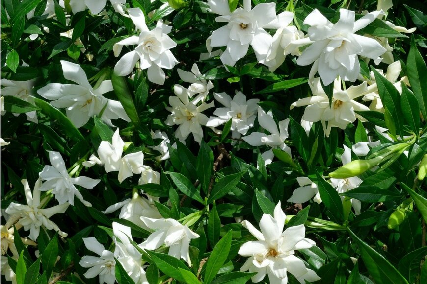 Joe_Potato/istockphoto.com