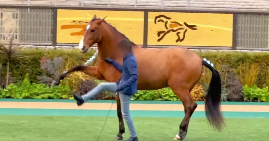 出所：@edward4th66