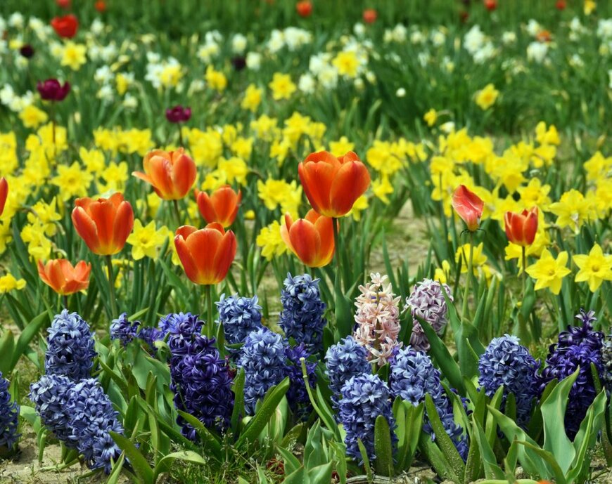 Diane Woodcheke/shutterstock.com