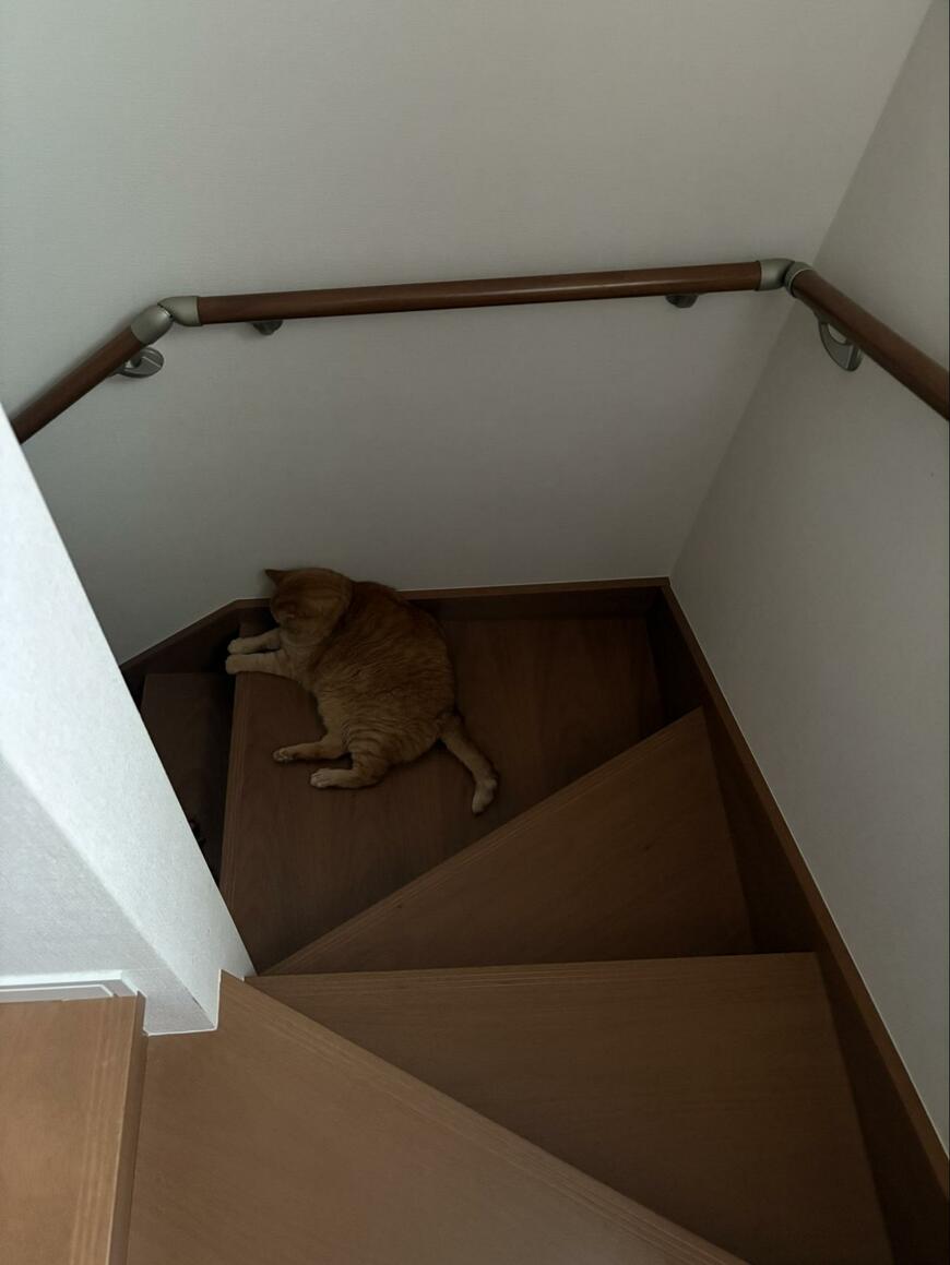 出所：@kagisuzu0531