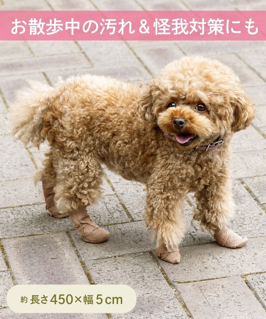 画像出所：PAL CLOSETオンラインストア