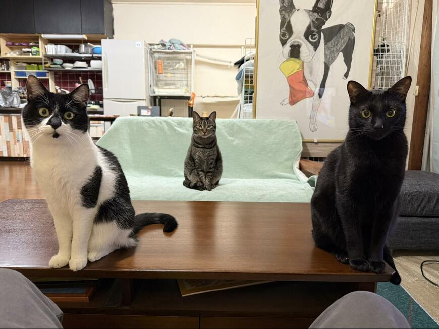 出所：@00shitemita