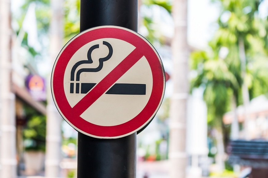 激減！ 20年間で6割減の国内たばこ市場。禁煙推進は続く