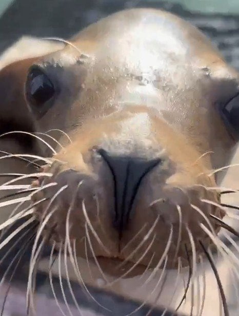 神戸市立王子動物園