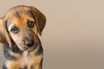 【年金不安】若いうちに「資産形成・資産運用」しておけばよかったと後悔する人たち