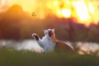 「還暦なのに貯金ゼロ！」60代、いくらお金を貯めているか