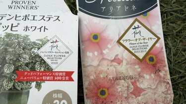 花選びで迷ったら……プロが太鼓判！〈ジャパンフラワーセレクション