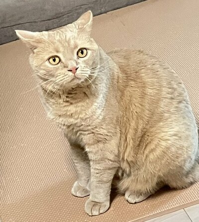 まん丸のお顔がキュートなつなくん