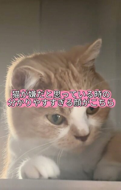 投稿の画像