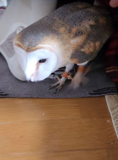 投稿動画のワンシーン