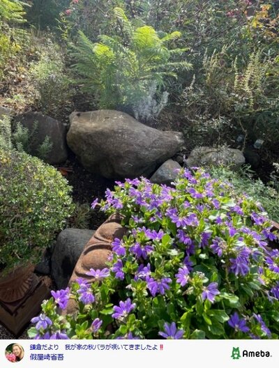 假屋崎省吾のAmebaブログ投稿