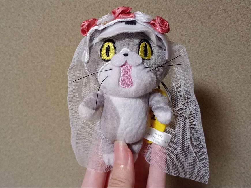 出所：筆者撮影（セリア、ぬいぐるみコスチューム 花嫁のベール）