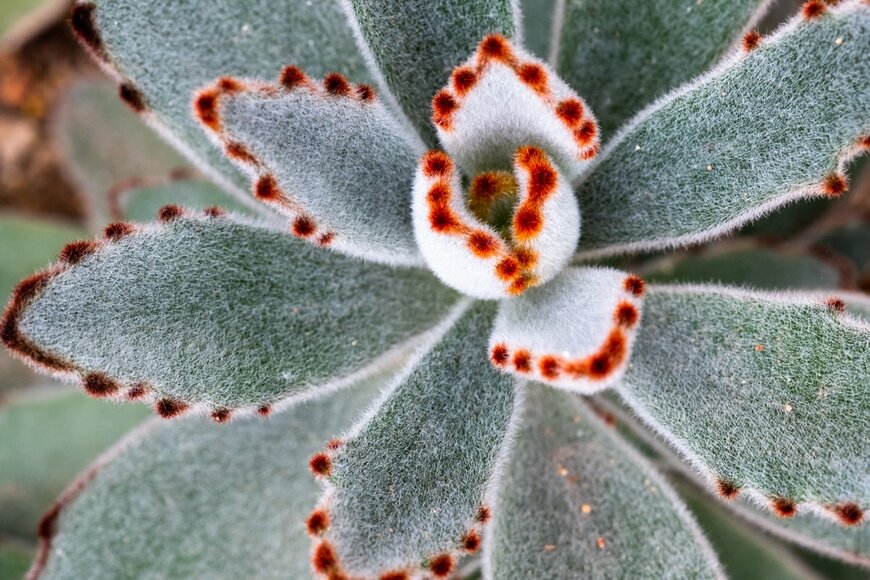 rivermartin/Shutterstock.com