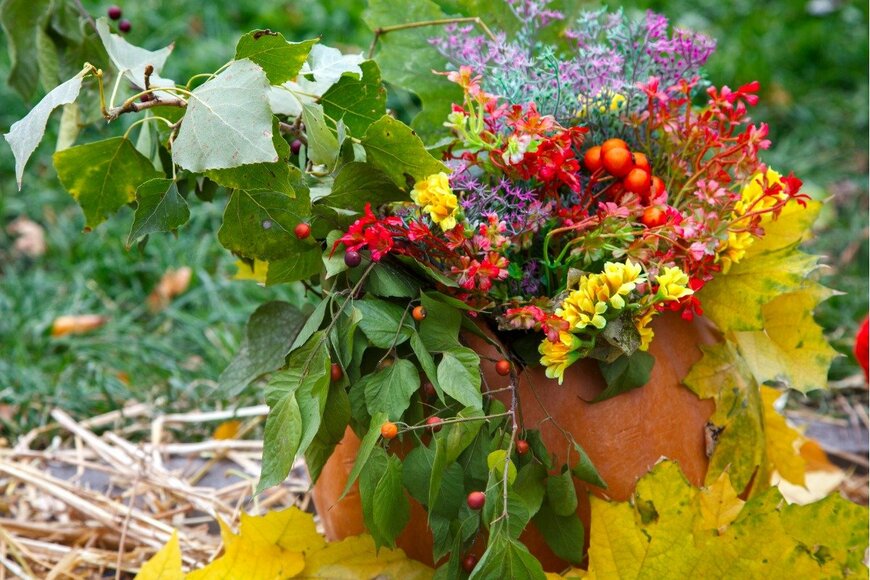 ily_rochha/istockphoto.com