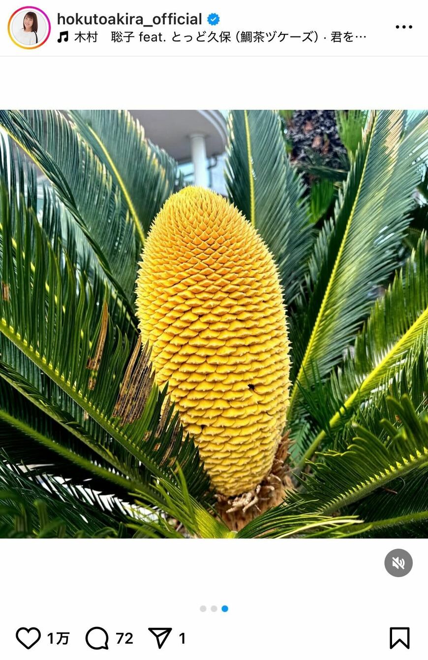 出所：北斗晶のInstagram（＠hokutoakira_official）参照日：2025年7月7日