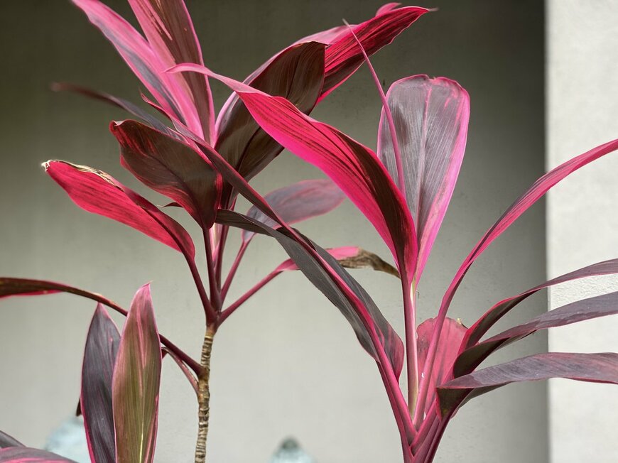 Ciambra/istockphoto.com