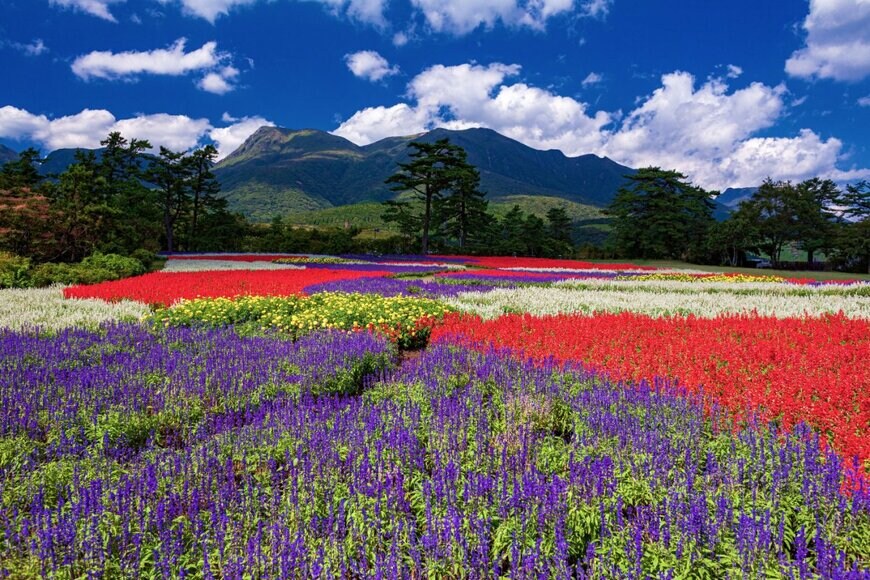 w.aoki/shutterstock.com