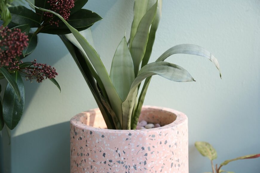 jacky_seoul/shutterstock.com