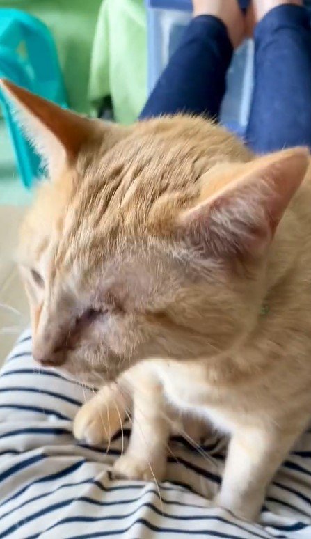 出所：@luna7taka9