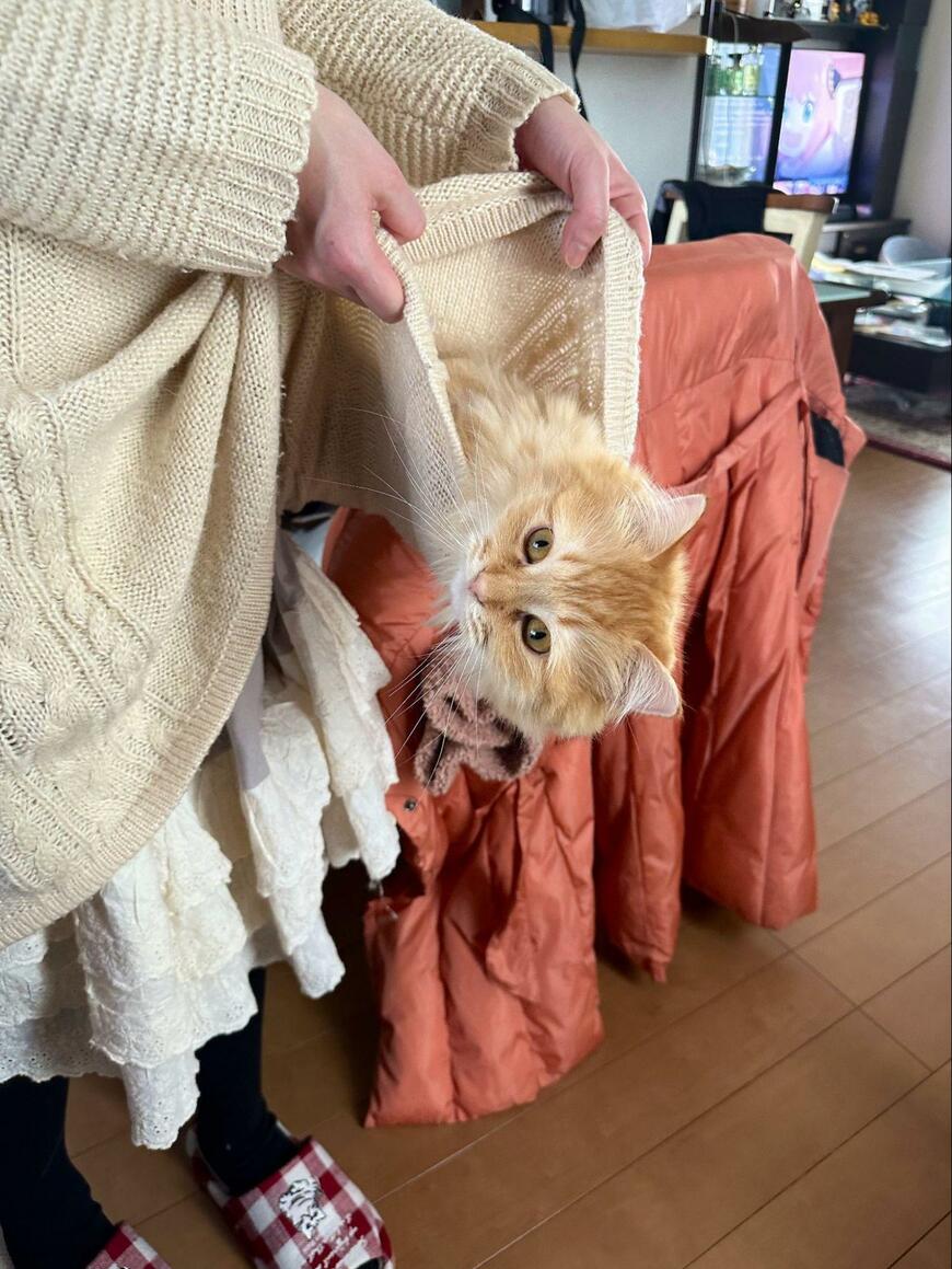 出所：@NEKOLAND13 