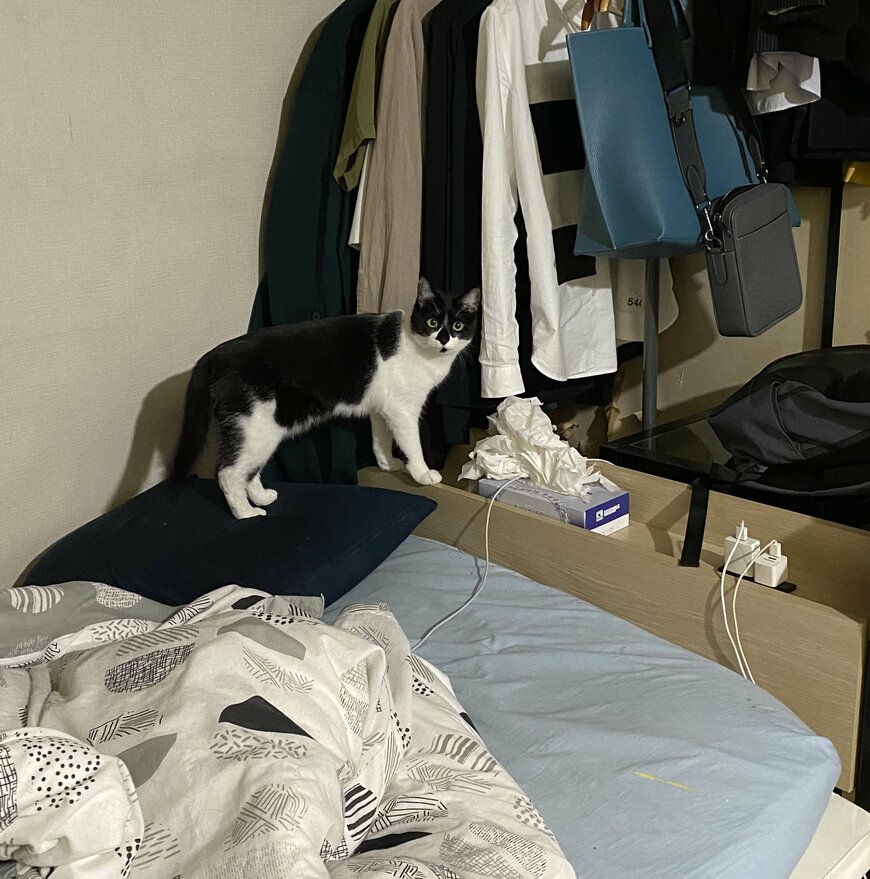 出所：@00shitemita